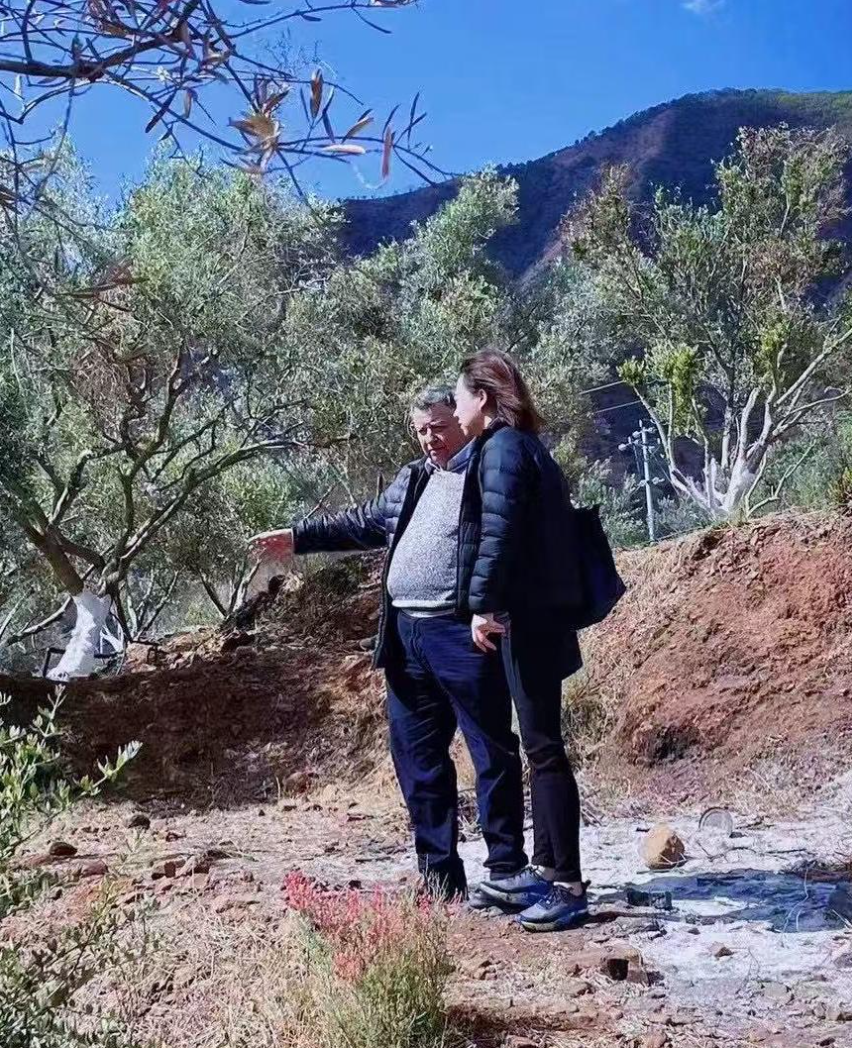 项目案例封面图 3